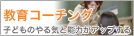 饳